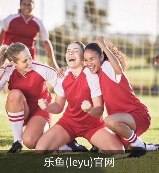 乐鱼(leyu)官网简介